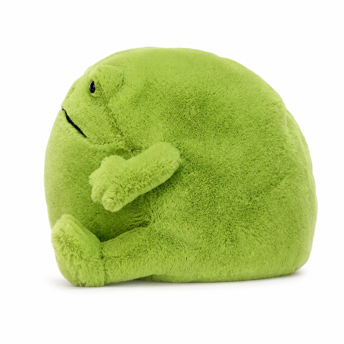 Ricky Rain Frog