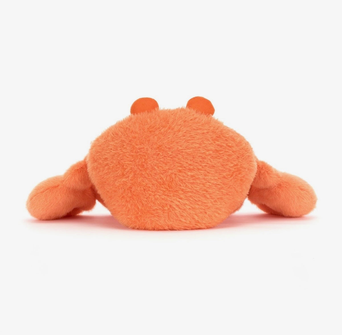 JC Pinchsnap Crab