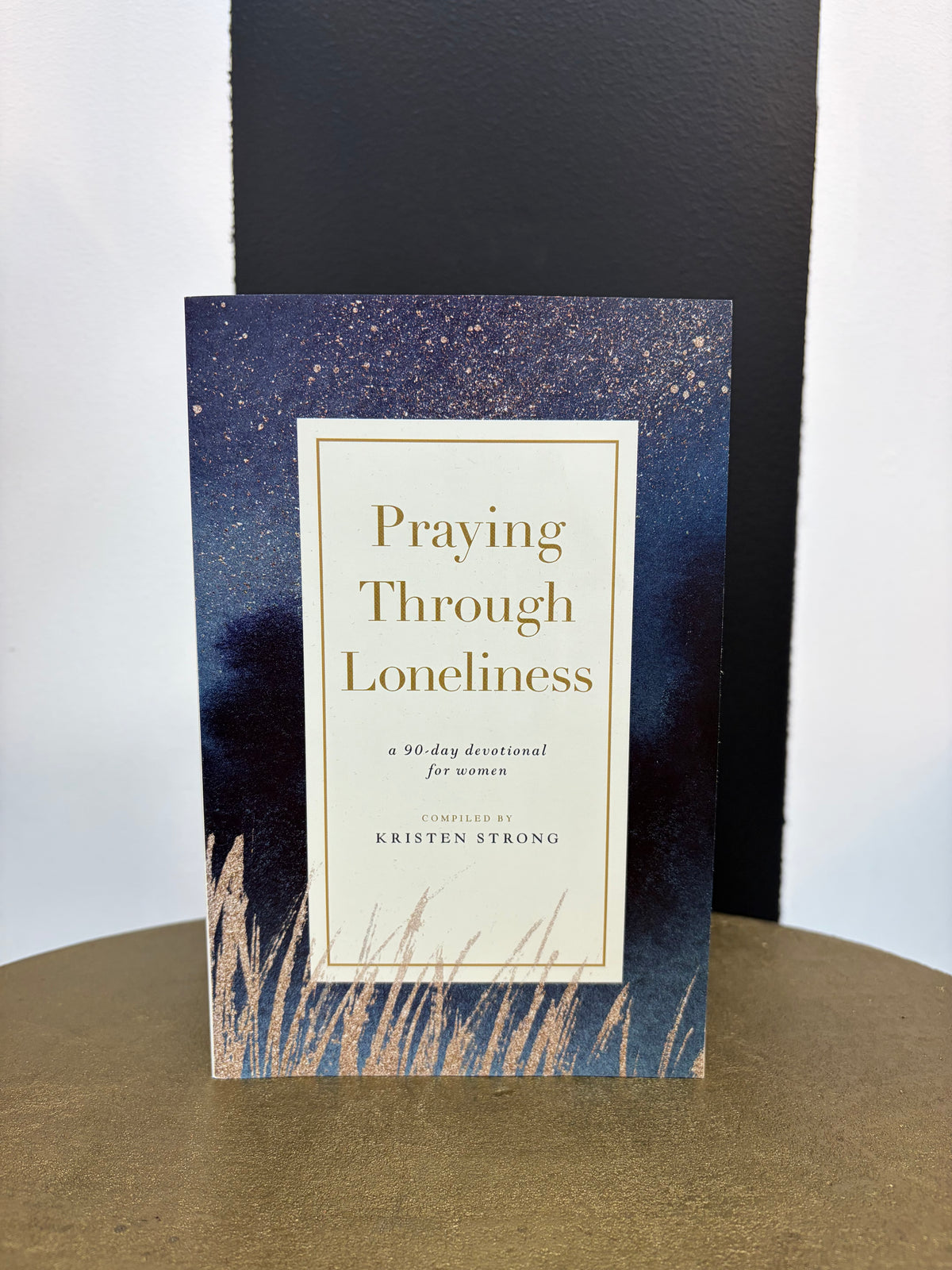 Praying Through Loneliness Book