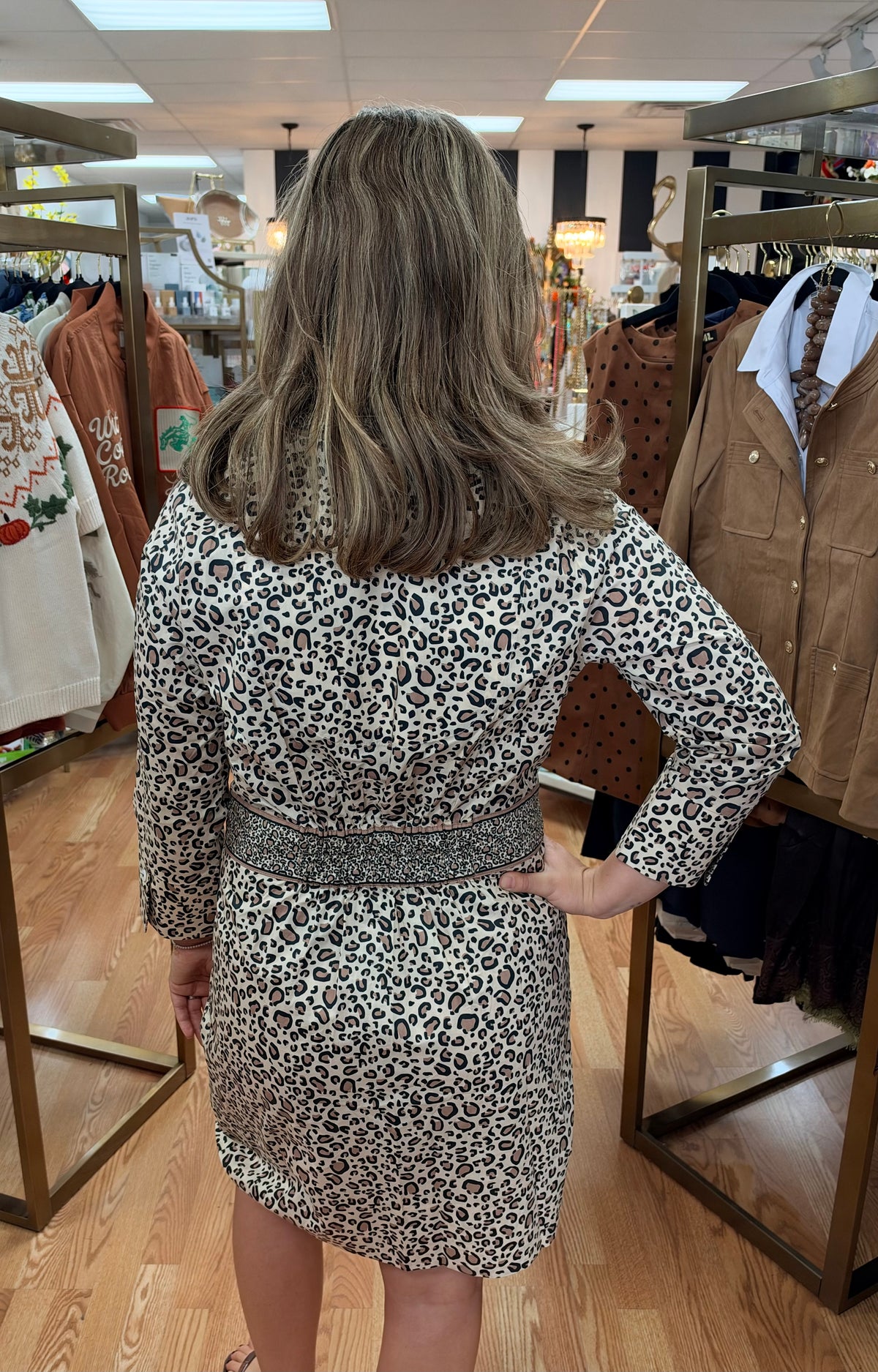 Animal Print Button Down Dress